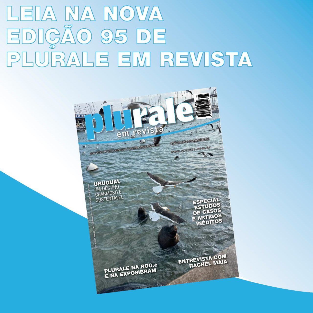Plurale arte 1